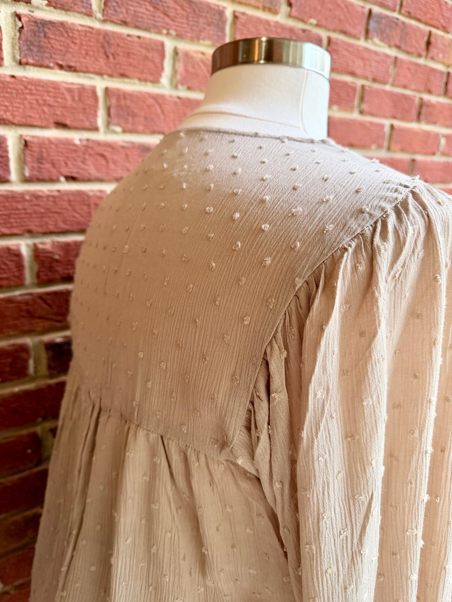 Plus Dot Embroidered Top